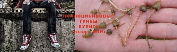 PSILOCYBIN Алексин