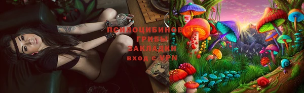 PSILOCYBIN Алексин