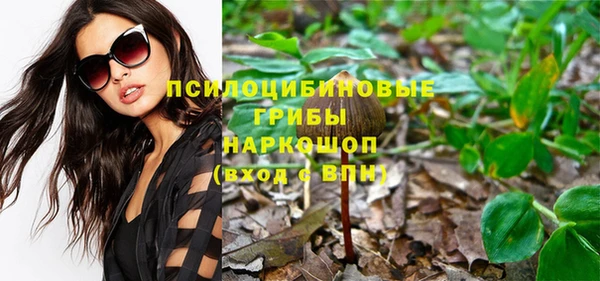 PSILOCYBIN Алексин