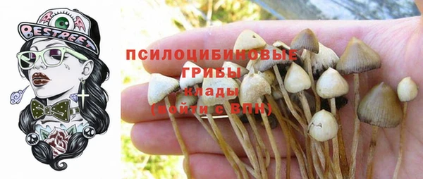 метадон Алексеевка