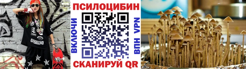 Галлюциногенные грибы Psilocybe  закладка  Любань 
